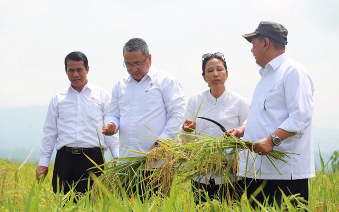 Mentan Ingatkan Jabar Pertahankan Kinerja sebagai Lumbung Pangan Nasional